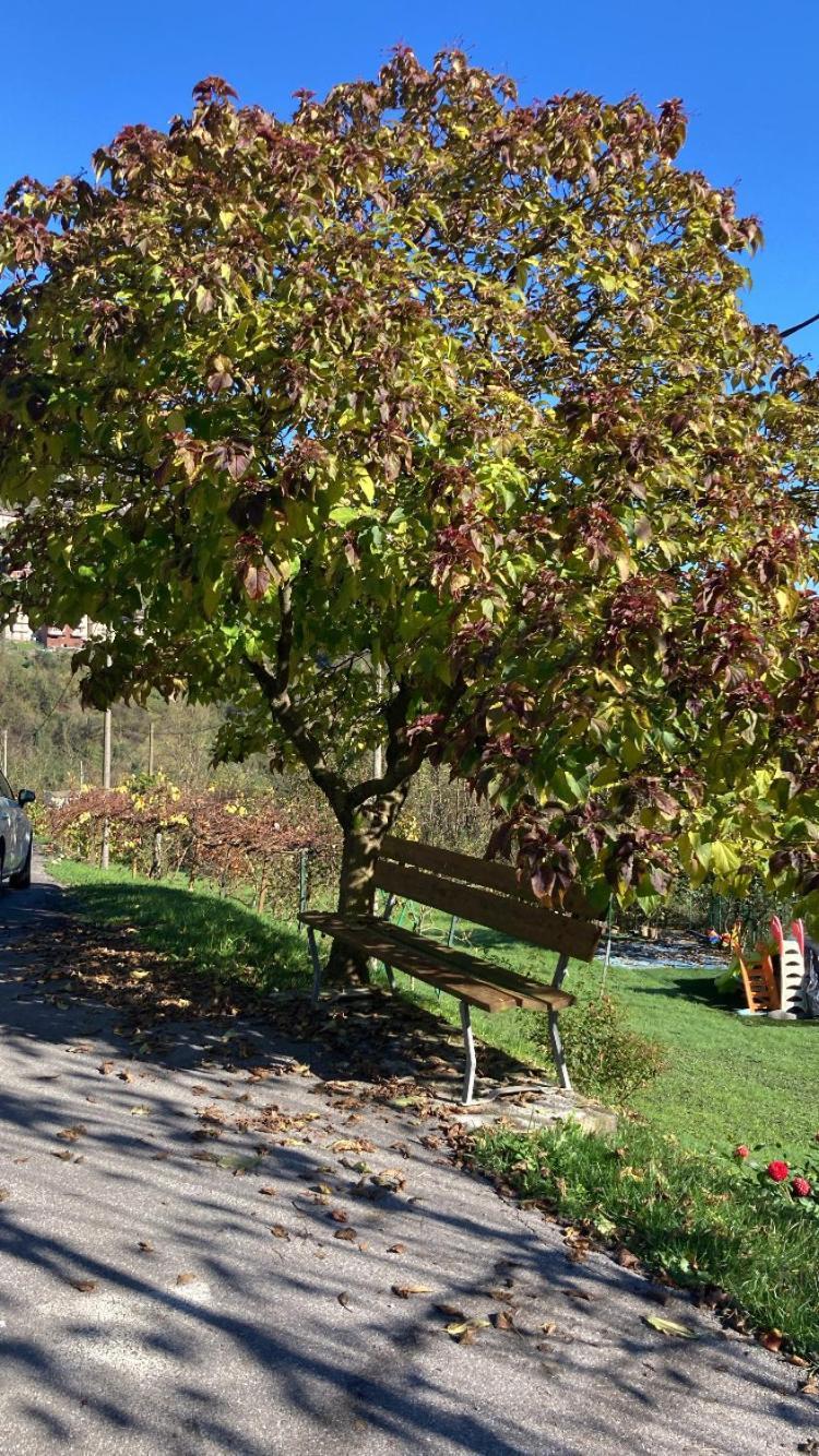 Cascina Uertigher Gorno المظهر الخارجي الصورة